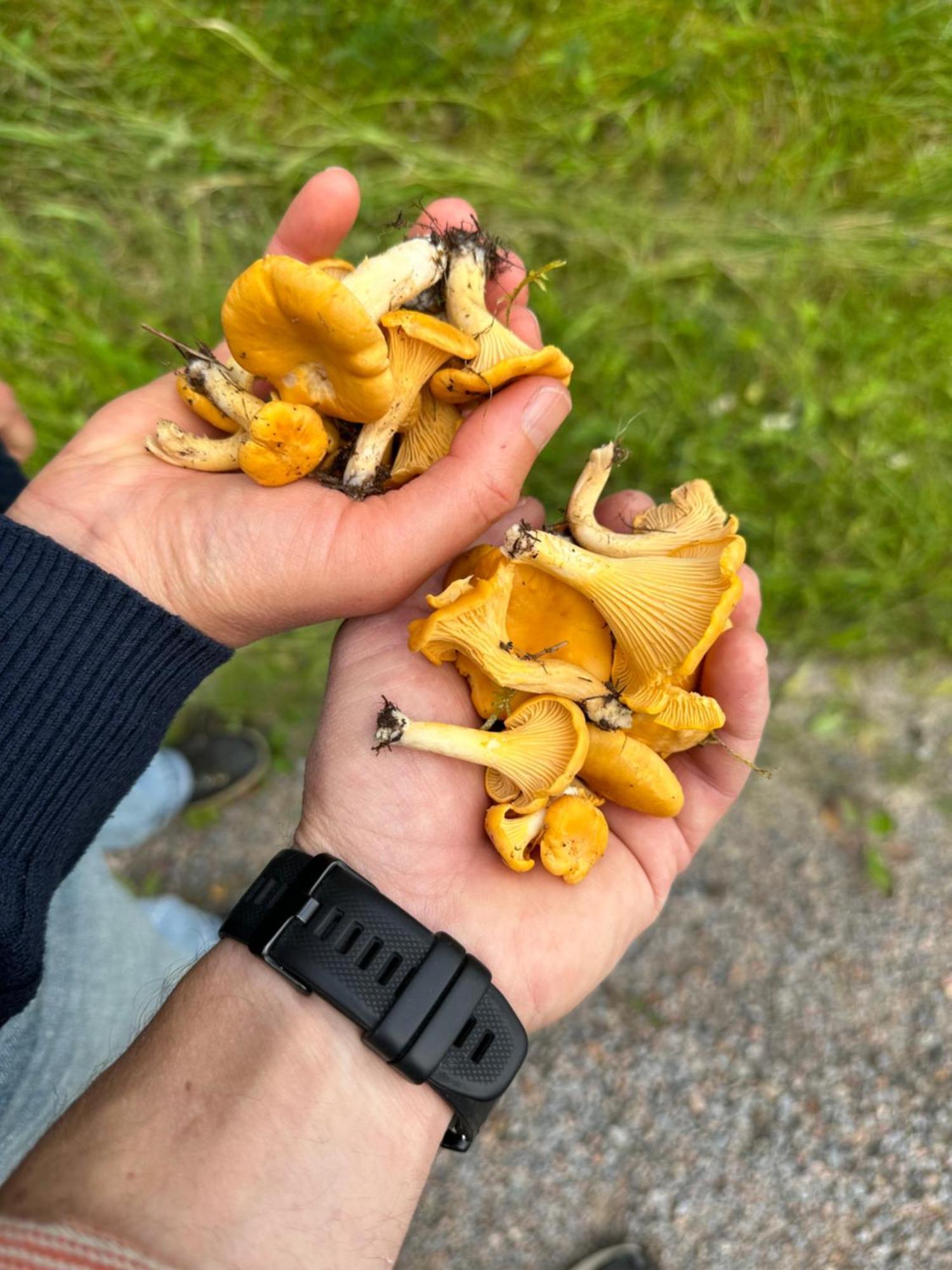 Hagbards By Gardspensionat Sloinge Esterno foto