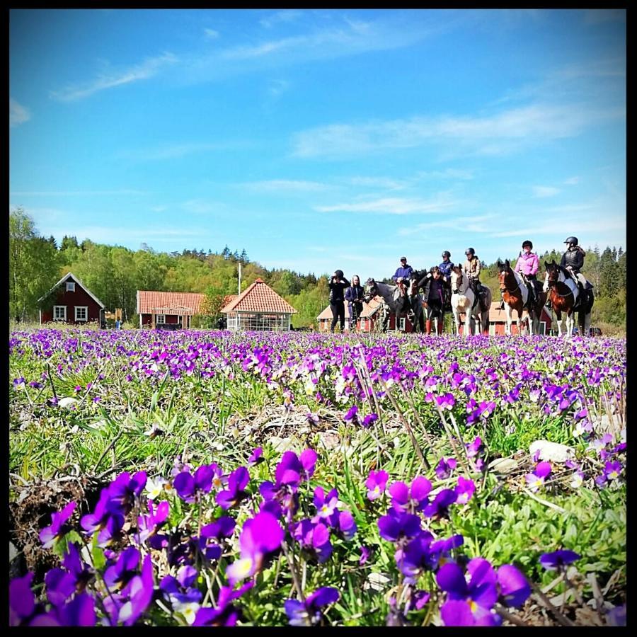 Hagbards By Gardspensionat Sloinge Esterno foto