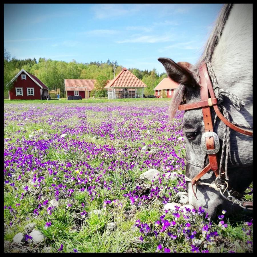 Hagbards By Gardspensionat Sloinge Esterno foto